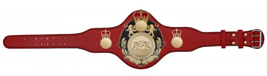 QUEENSBURY PLT LEATHER GRAPPLING CHAMPIONSHIP BELT - PLTQUEEN/B/G/GRAPG - AVAILABLE IN 4 COLOURS
